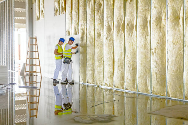 Best Insulation for Specific Applications in York, AL